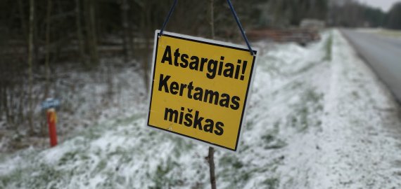 Savivaldybės įpareigotos informuoti gyventojus apie medžių kirtimą, želdynų tvarkymą