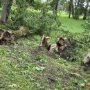 Rokiškį nusiaubė audra (video+foto)