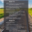 Renginių ciklas, skirtas Gedulo ir vilties dienai atminti ATMINTIS GYVA 