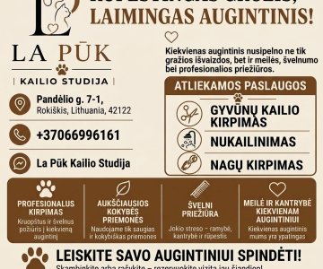 Gyvūnų kirpimo, nukailinimo, nagų kirpimo paslaugos