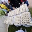 AB „Rokiškio sūris“ ir Rokiškis – vėl rekordų knygoje (foto)