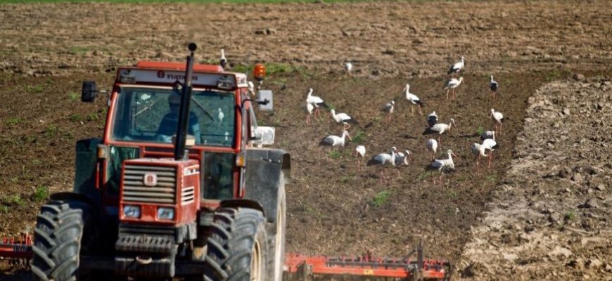 Žemės ūkio ministras: „Raginame ūkininkus sudaryti žemės valdymo sutartis“