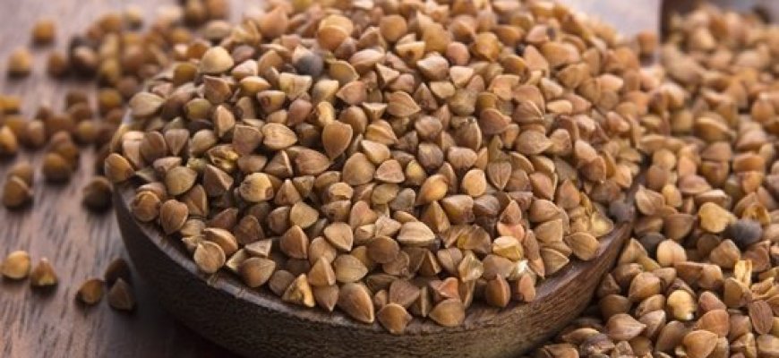 Griežtinama ekologiškų grikių kontrolė