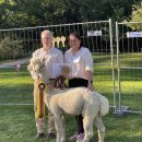 Tituluočiausias alpakų ūkis Lietuvoje priklauso Klaipėdoje gyvenantiems kraštiečiams T. ir G. Tarvydavičiams (foto)