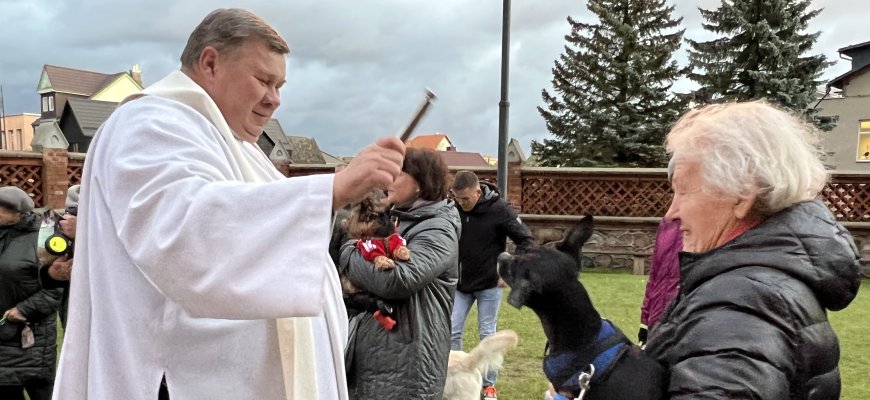 Palaimintų gyvūnų šeimininkai tikisi ramybės, tačiau neliūdi ir jos nesulaukę (foto)