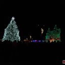 Eglės įžiebimo šventė šiemet pranoko lūkesčius (foto+video)