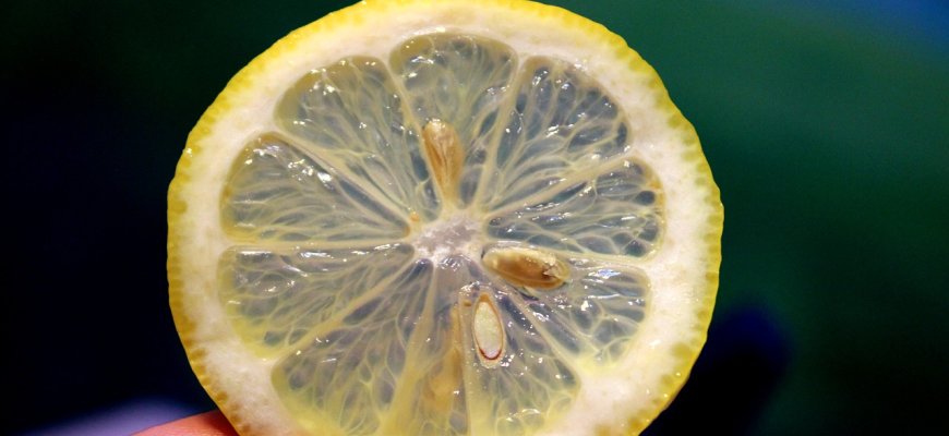 Trys priežastys, kodėl pavasarį svarbu nepamiršti vitamino C