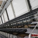 Du didieji rajono sporto objektai: kokia jų situacija šiandien?