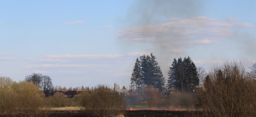 Didžiulis žolės gaisras išsprendė Rokiškio kraštovaizdžio problemas? (foto +video)