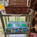 „Galukiemis“ dar kartą įrodė: teiginiai, kad šalies rajonuose nėra kultūros – mitas (foto)