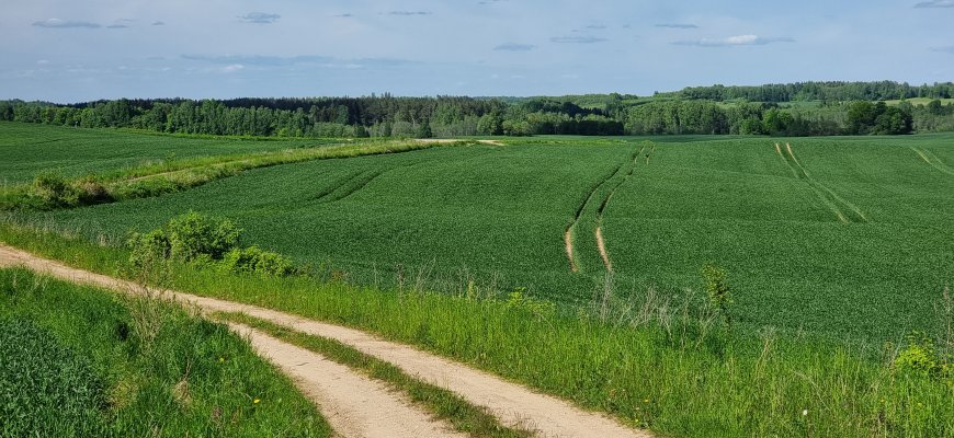 Informacija Obelių seniūnijos ūkininkams