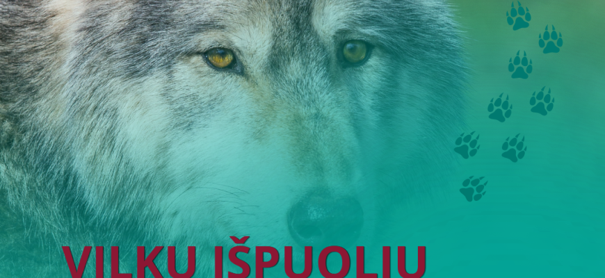Atėjo vilkų išpuolių metas – kiek šunų prie būdų bus pasmerkti mirti šiemet?