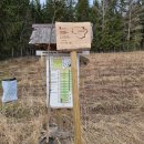 Ąžuolų giria jau pasodinta – Nacionalinis miškasodis Rokiškyje šį kartą buvo išskirtinis (foto)