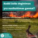 Deginama žolė: mirties nuosprendis viskam, kas gyva 