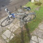 „Gazelle Puerto X-Road“