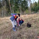 Ąžuolų giria jau pasodinta – Nacionalinis miškasodis Rokiškyje šį kartą buvo išskirtinis (foto)