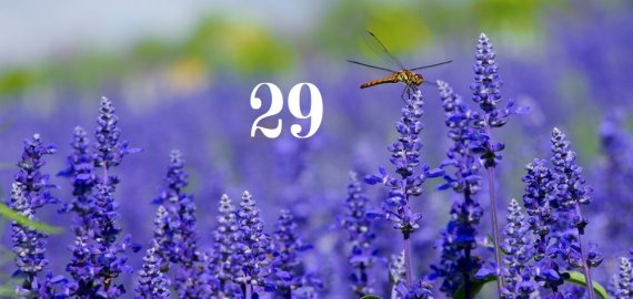 Gegužės 29-oji Lietuvoje ir pasaulyje