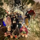 Su garsiausiais Lietuvos plaukikais plaukimo čempionate varžėsi 4 jaunieji sportininkai iš Rokiškio