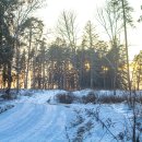 Kur šį savaitgalį vyks „Biorina Winter Rally Rokiškis 2026“? (žemėlapiai)