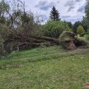 Rokiškį nusiaubė audra (video+foto)