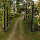 Užburiantis vaizdas: pražydęs Ilzenbergo dvaro parkas nepaliks abejingų