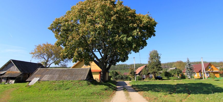 Įvertintos kaimo bendruomenių paraiškos