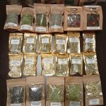 Vaistažolių kapsulės, arbatos