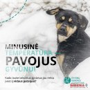 Specialistai įspėja: nuo -15°C lauke laikomus gyvūnus reikia įvesti į vidaus patalpas