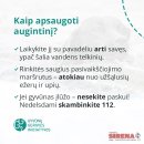 Tirpstantis ledas ant vandens telkinių pavojingas ne tik žmonėms, bet ir gyvūnams: kaip apsaugoti savo augintinius?
