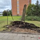 Rokiškį nusiaubė audra (video+foto)