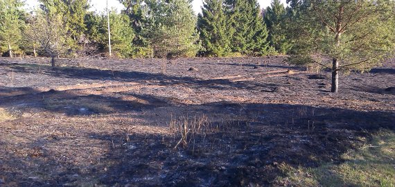 Šiukšlių, pievų, miškų deginimo sezonas prasideda