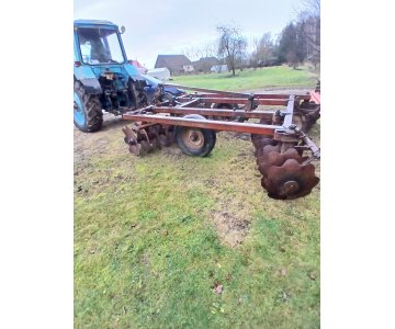 Lėkštinis skutikas