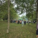 Tradicija, jungianti kartas: Velykalnyje nuskambėjo J. Tūbelio progimnazijos bendruomenės šventė (video+foto) 