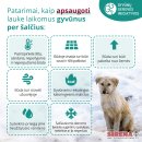 Specialistai įspėja: nuo -15°C lauke laikomus gyvūnus reikia įvesti į vidaus patalpas
