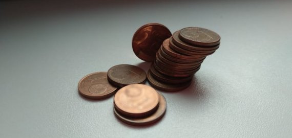 Ekonomistai perspėja dėl dalies prekių ir paslaugų brangimo