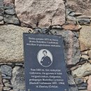 Rokiškis atšventė 527-ąjį gimtadienį VISU GARSU (foto)