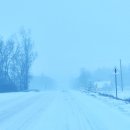 Pūga neaplenkė ir Rokiškio (video)