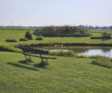 Vienkiemis prie pat Rokiškio miesto