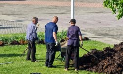 Pasikeitus tvarkai, pašalpų gavėjai mieliau renkasi visuomenei naudingą darbą, ne mokomąsias programas 