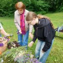 Pandėlio gimnazija mokslo metus užbaigė projektu „Jei ne auksinės vasaros“ (foto)