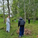 Puošia Velykalnio parką: jau augančių ąžuolų ir narcizų plantacijas šiemet papildė jurginai