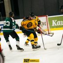 „Grizlių“ savaitgalis: viena pergalė, vienas pralaimėjimas