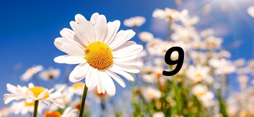 Gegužės 9-oji Lietuvoje ir pasaulyje
