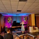 Sidabro ženklais padabino dvi nuostabias menininkes (foto)