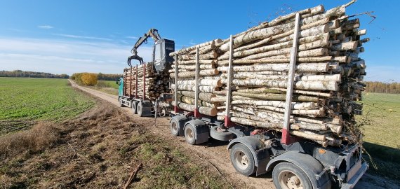 Privačių miškų savininkai jungiasi į žemdirbių organizuojamą akciją – miškovežiais riedės į Vilnių