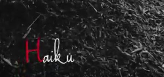 Darius Baltakys ir Sigitas Daščioras pristato vienos scenos filmą „Haiku“