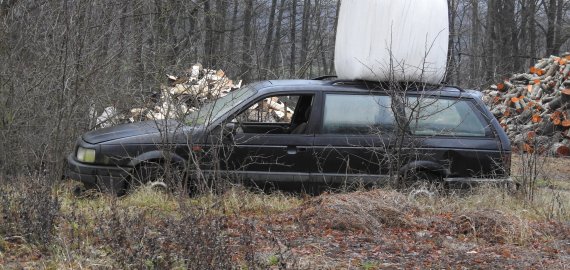 Nepasiturintieji jau gali teikti paraiškas 2 tūkst. eurų paramai mažiau taršiam automobiliui