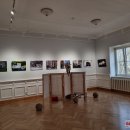 Jubiliejiniai laisvės metai: stipriau spurdanti širdis ir suvokimas, kad laisvė – nėra duotybė (foto)