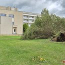 Rokiškį nusiaubė audra (video+foto)