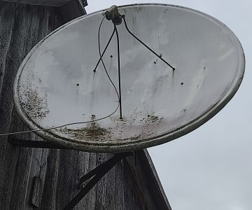 Palydovinė lėkštė